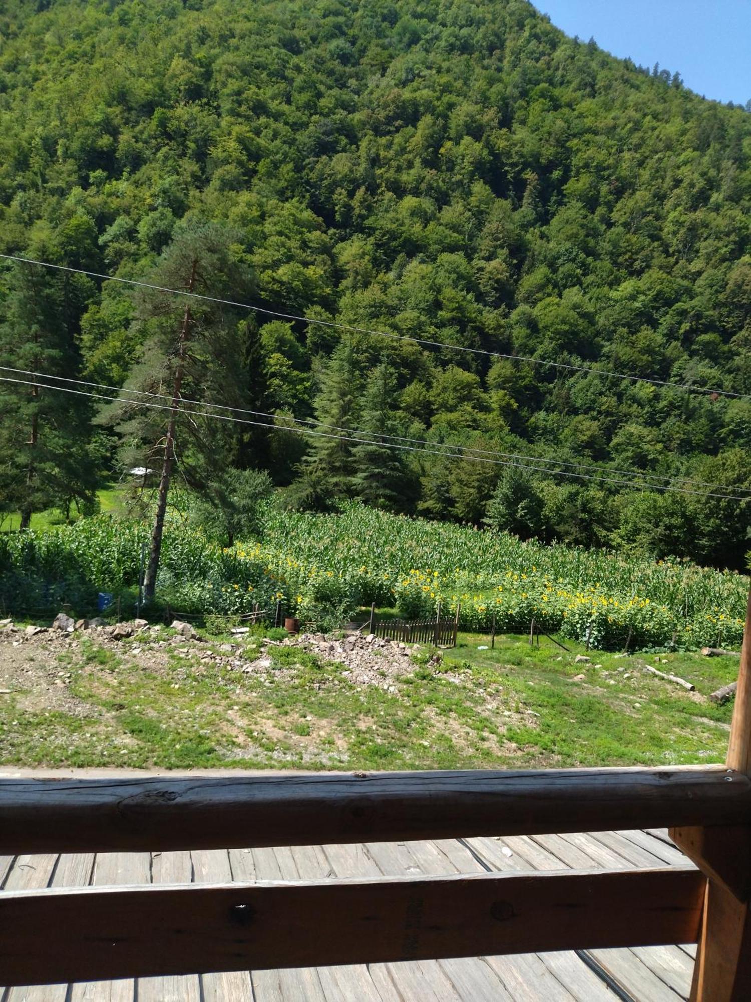 Hotel Alismereti Zekari エクステリア 写真